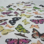 Butterflies direct print
