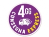 CONSEGNA-EXP-4GG
