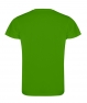 CA0450_VERDE_FELCE_RETRO_6785282fc12c6.jpg