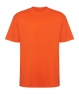 CA6560 T-shirt Bull oversize