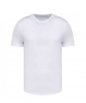 NS331_White.jpg