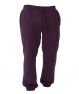 RNR60_purple.jpg