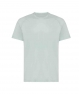 T9102_Iceberg_green.jpg