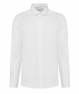 PK504 Camicia uomo popeline manica lunga Premium