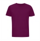 03981_astralpurple.jpg