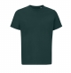 03981_greenempire.jpg