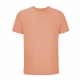 03981_peach.jpg