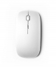 IA3051_bianco1.jpg