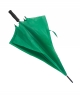 rp-036 Ombrello verde